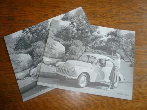 1960 morris 1000 - 1000, sales